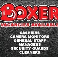 Boxer is looking for unemployed people